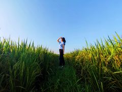 -煲煲掂风味煲仔饭餐厅(西区店)