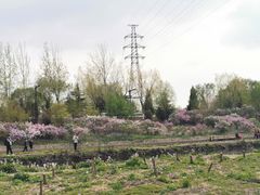 -石榴庄公园