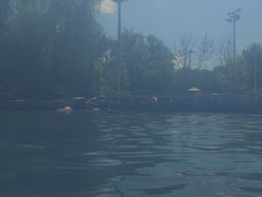 -柳浪游泳场