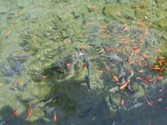 -水磨沟公园