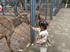 -长白岛森林公园