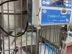 -诺比宠物医院心脏内科·泌尿肾内外科·骨科急重症