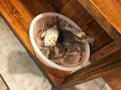 -苏大嘴海鲜牧场(奥林匹克店)