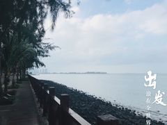 -万绿园