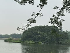 -海珠湖公园