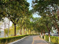 -广东花都湖国家湿地公园