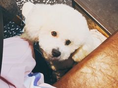 -Moka Bros 摩卡站(嘉华店)
