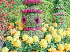 -杭州植物园