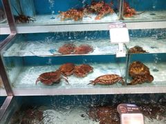 -盒马鲜生(枣园路店)