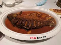 红烧黄河鲤鱼-阿五黄河大鲤鱼(海尚店)