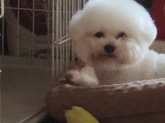 -纳吉亚猫专科动物医院(康都外科中心)