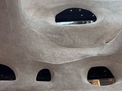 -美国自然历史博物馆