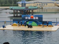 -秦皇岛乐岛海洋王国