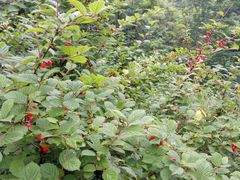 -丹东市五龙山风景区