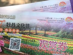 -洛阳郁金香牡丹园