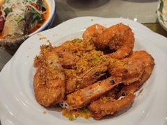 -蒙古大营(朝阳公园店)