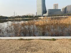 -金沙湖公园