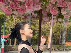 -厦门方特东方神画