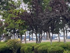 -海源公园