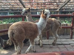 -万源龙顺度假庄园生态观光园