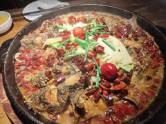 -老板恋上鱼(高新万达店)