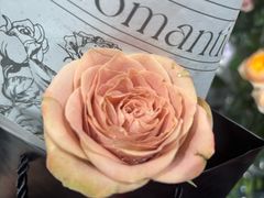 -FEI FEI FLOWER鲜花店·气球派对·宝宝宴布置(虹口德必运动Loft店)