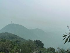 -北京鹫峰国家森林公园