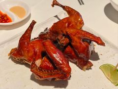 -侨美食家·41年地道粤菜(珠江新城店)