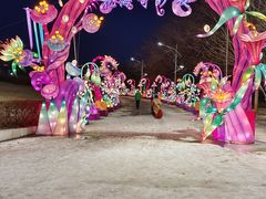 -沈阳奥体冰雪嘉年华