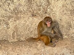 -石家庄市动物园