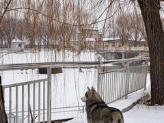 -秀水公园