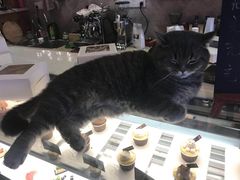 -B.O.M波姆烘焙(凤凰街店)
