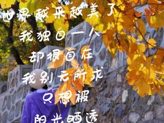 -灵山