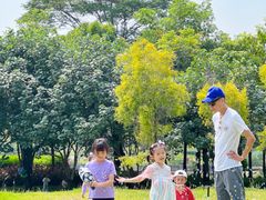 -王借岗森林公园
