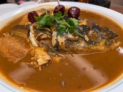 -鲁宴·鲁煨黄河生态大鲤鱼(月坛店)