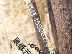 -西吉马游泳健身(协信店)