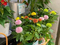 -盒马鲜生(皇庭广场店)