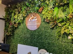 -小熊维尼高端儿童摄影(南山信和店)