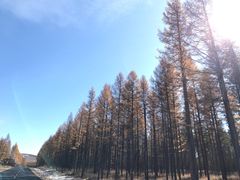 -塞罕坝国家级自然保护区