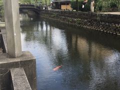 -城崎温泉 外七汤