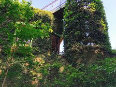 -三鹰之森吉卜力美术馆