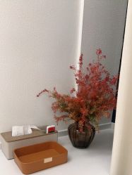 -彼家美创·量肤定制修护管理