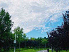 -马家湾湿地公园