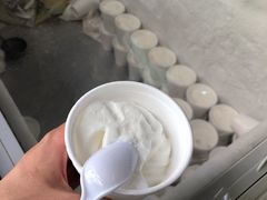 -洪馨椰子