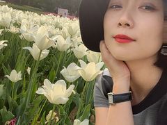 -无锡梅园公园