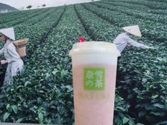 -奈雪的茶(优特汇店)