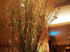 -和幸(春熙路群光广场店)