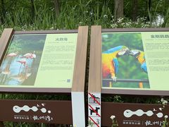 -宁波杭州湾国家湿地公园