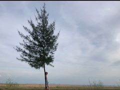 -白沙门生态公园