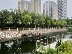 -大望京公园